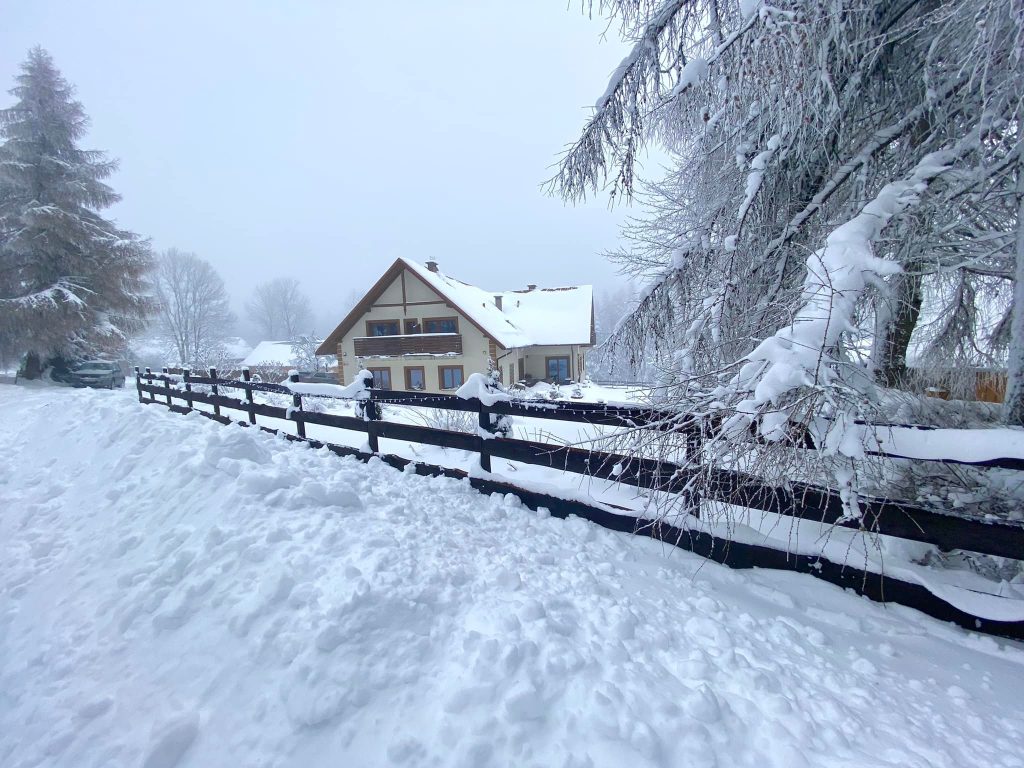 Sarni Stok zimą